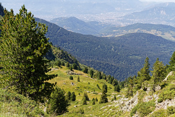 The city of Grenoble in the far background from a mountain path