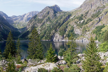 Lauvitel lake and pine tree under the slopes of Parc des Ecrins