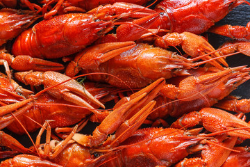 Background of beautiful, delicious boiled red crayfish