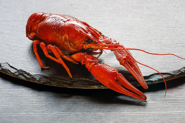 Boiled red crayfish on a platter close up