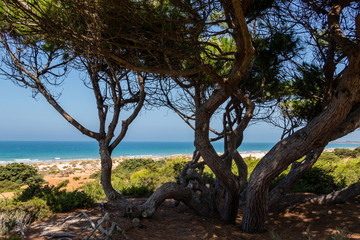 Sand dunes that give access to La Barrosa beach in Sancti Petri, Cádiz, Spain.