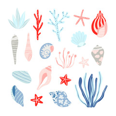 Fototapeta na wymiar Seashell vector set. Seaweed and seashell isolated on white background. Nautical theme beach collection