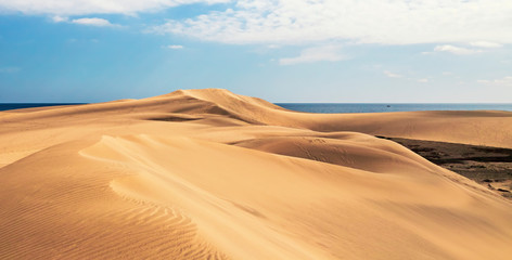 Fototapeta na wymiar sand dunes on the beach, dunes maspalomas gran canaria