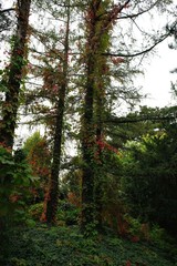 Obraz premium Herbst