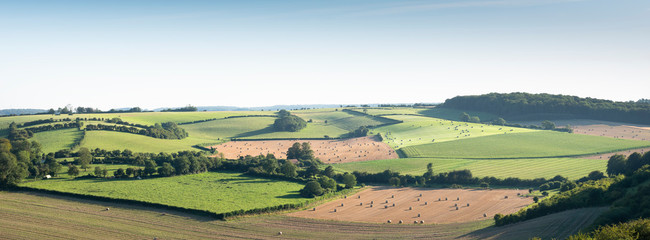 landscape with cornfields and meadows in regional parc de caps et marais d'opale in the north of france - obrazy, fototapety, plakaty