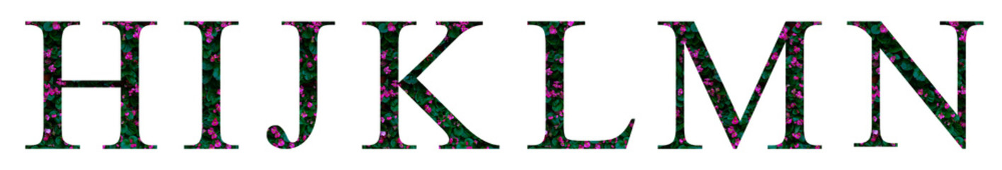 Floral letters. The letters H, I, J, K, L, M, N are made from colorful flower photos. A collection of wonderful flora letters for unique spring decorations and various creation ideas. clipping path
