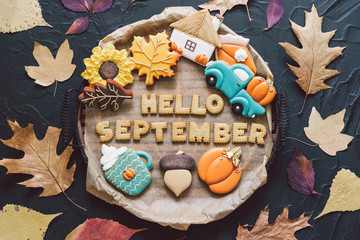 Hello September. Multicolored autumn cookies on a black background. 