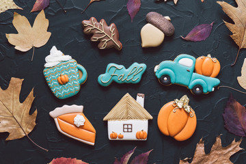 Hello Fall. Multicolored autumn cookies on a black background. 