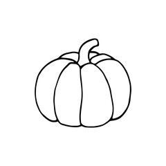 Isolated pumpkin on a white background, hand-drawn vector illustration. Symbol of the holiday Halloween
