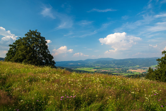 View from Mala Kykula hill near Jablunkov town in Moravskoslezske Beskydy mountains in Czech republic