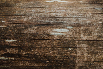 Wood texture. Copy space. Background