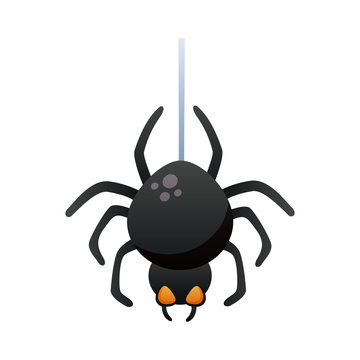 halloween spider degradient style icon