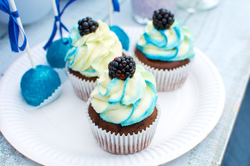 Desserts for a children's party - pops and muffins with cream. Natural product with fresh blackberries. Delicious desserts on a white plate. White and white color palette