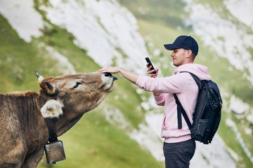 Happy traveler with cow in mountain