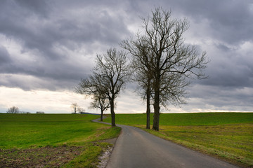 Obraz premium Kurvige Landstraße im Herbst bewölkter Himmel