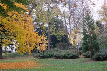 Winterpark Mannheim