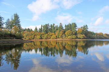 Reflections in Tottiford Reservoir, Devon, in Autumn	