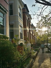 Colorful row houses of Washington, DC