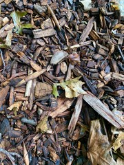 Fall Woodchips