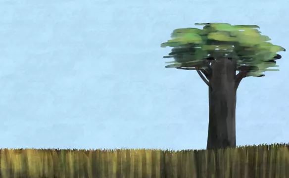 サバナ気候 Images Browse 6 Stock Photos Vectors And Video Adobe Stock