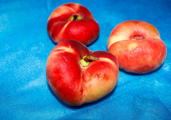 Three flat peaches on the table on a soft blue background.