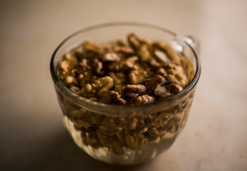 walnut in water bowl active for vegan milk 