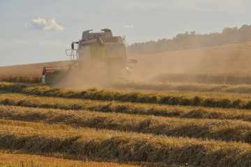 View of the combine harvester in Pardubice Region, Czech Republic