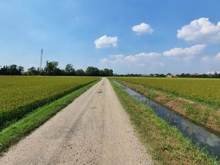 road in the field