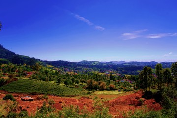 mountain landscape with trees