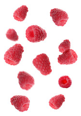 Fresh ripe raspberries falling on white background