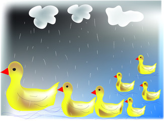 rubber ducks in the water