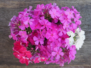 A bouquet of pink, lilac and white Phlox on a wooden stand closeup, top view. Romantic flower picture with bright, multi-colored summer flowers