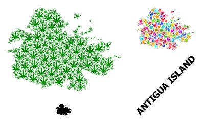 Vector Collage Map of Antigua Island of Colored and Green Hemp Leaves and Solid Map