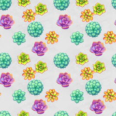 Seamless pattern with succulents. Beautiful floral print.