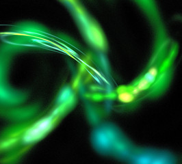 image of one Digital Fractal on Black Color