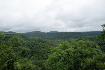 Fototapeta na wymiar BEAUTIFUL OF RAINY GREEN FOREST MOUNTAIN 