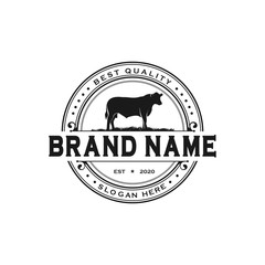 Black angus cattle logo emblem design template vector