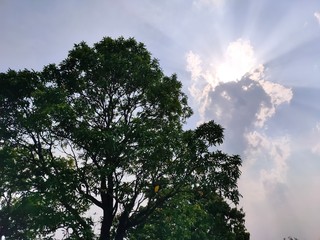 Obraz premium sun and clouds