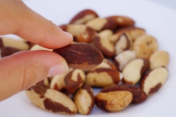 Woman's hand holding Brazil nut (castanha do Pará).
