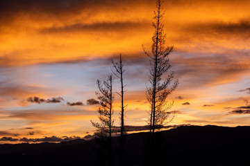 Beautiful sunset silhouette, sunset colors