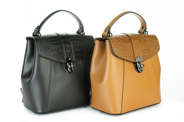 Bag fashion autumn clutch isolated on white leather