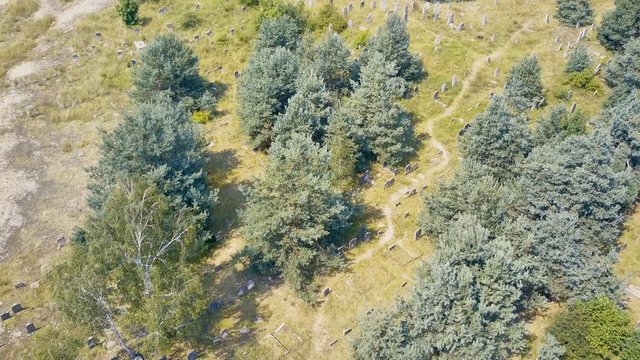 Aerial, drone view abandoned jewish cemetery in the middle of forest in Zarki, Poland. 18th century graveyard hidden in the woods. Forgotten tombstones and matzevot of dead jews are deteriorating. 