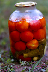 Close up of big glass jar with pickled vegetables on ground in vegetable garden.