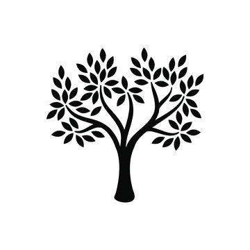 Plant and tree icons set vector. Forest elements.