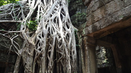 Throwback travel in Cambodia Siem Reap Angkor Wat