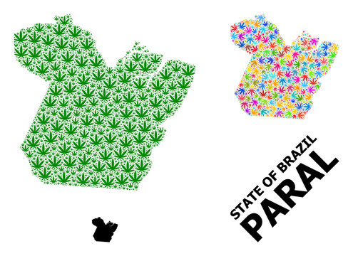 Vector Collage Map of Paral State of Bright and Green Hemp Leaves and Solid Map