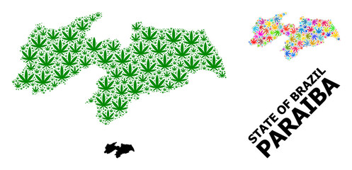 Vector Mosaic Map of Paraiba State of Colored and Green Cannabis Leaves and Solid Map