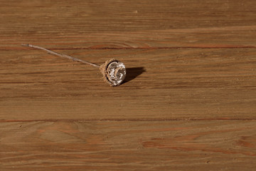 Flor seca sintética hecha con madera 