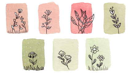Small plants made in ink on watercolor background. Flowers drawn with black lines on colored texture in watercolor.