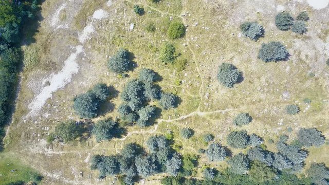 Aerial, drone view abandoned jewish cemetery in the middle of forest in Zarki, Poland. 18th century graveyard hidden in the woods. Forgotten tombstones and matzevot of dead jews are deteriorating. 